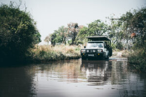 Botswana Safari Wildlife Photography Jeep