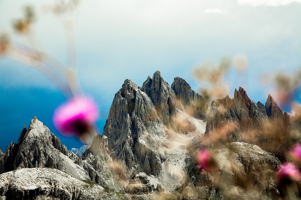 Landschaft mit geringer Schärfentiefe und Fokus auf den Hintergrund